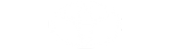 toyota white logo